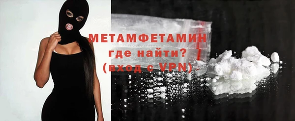 индика Ессентукская